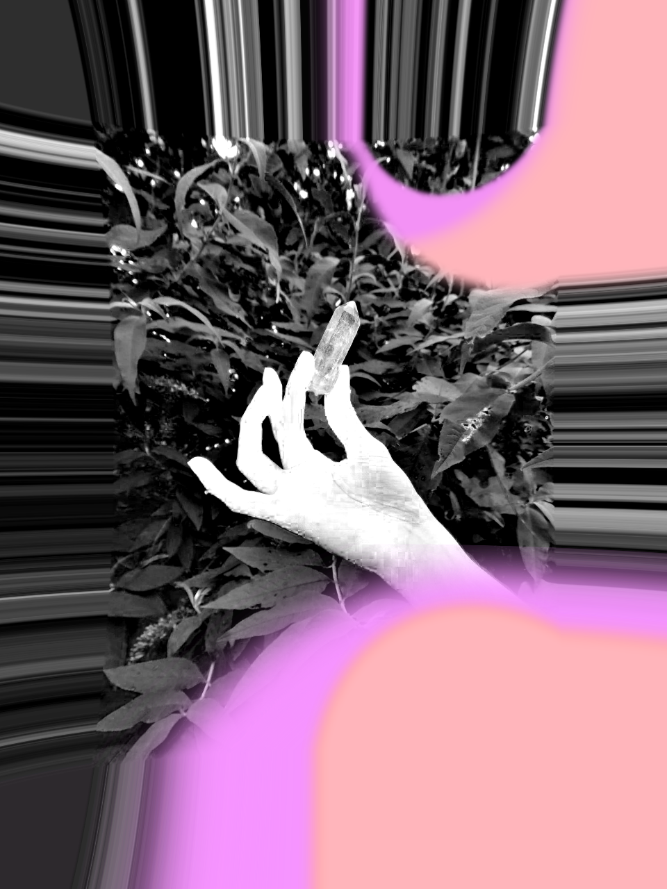 A glitched photo of a hand holding a single quartz crystal, in front of a leavy bush. The photo is mainly black and white, with some pink and apricot accents.