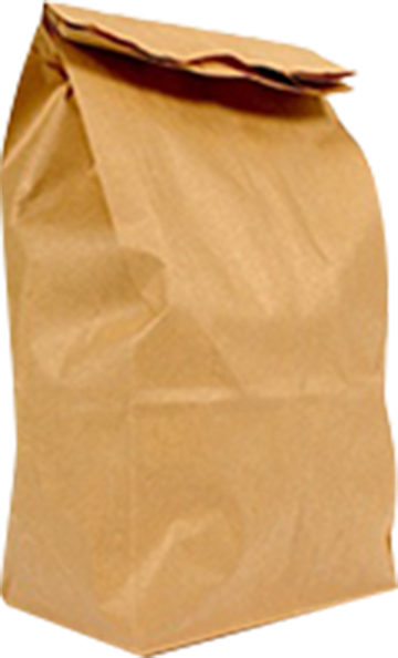 a large brown paper bag