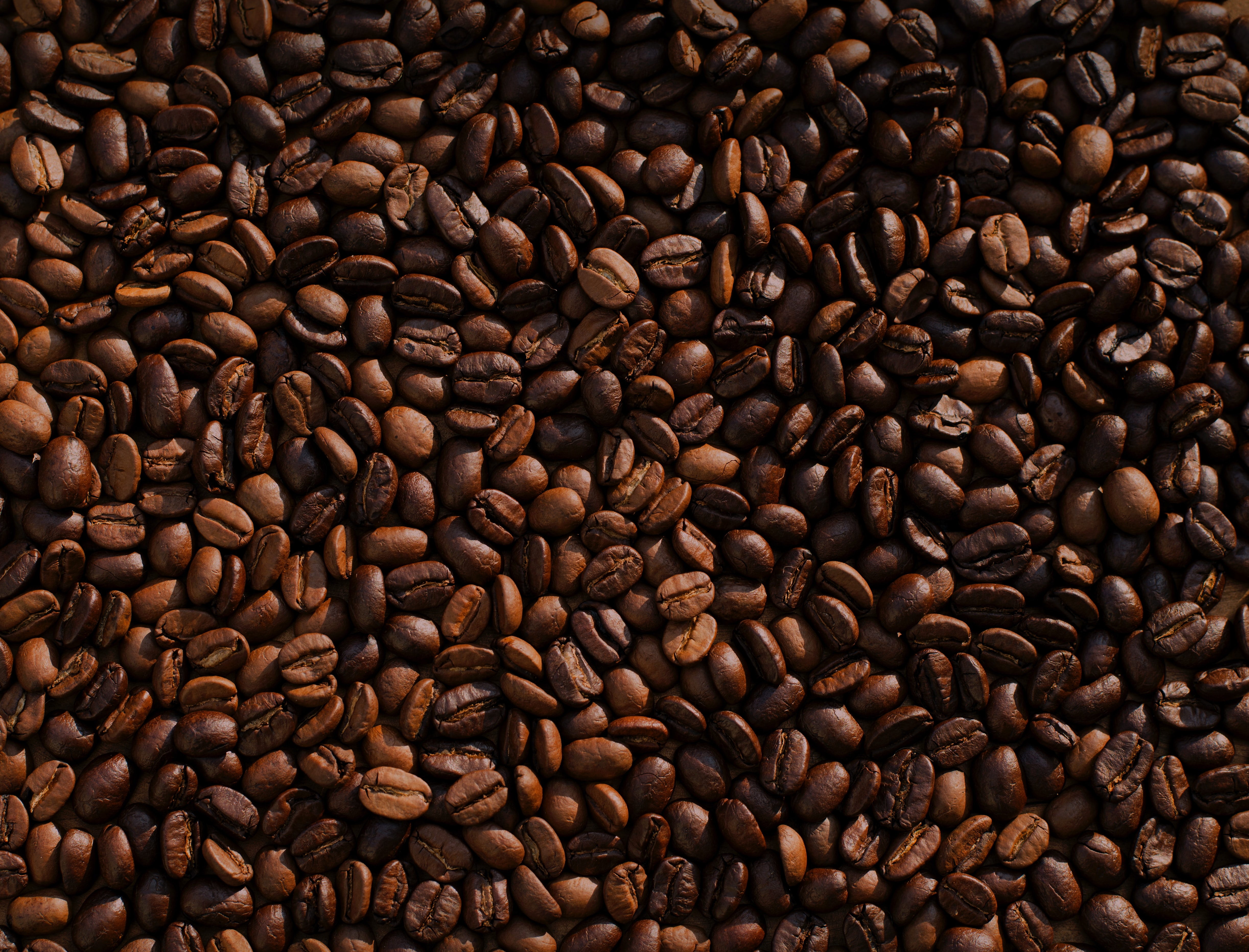 coffee beans large span