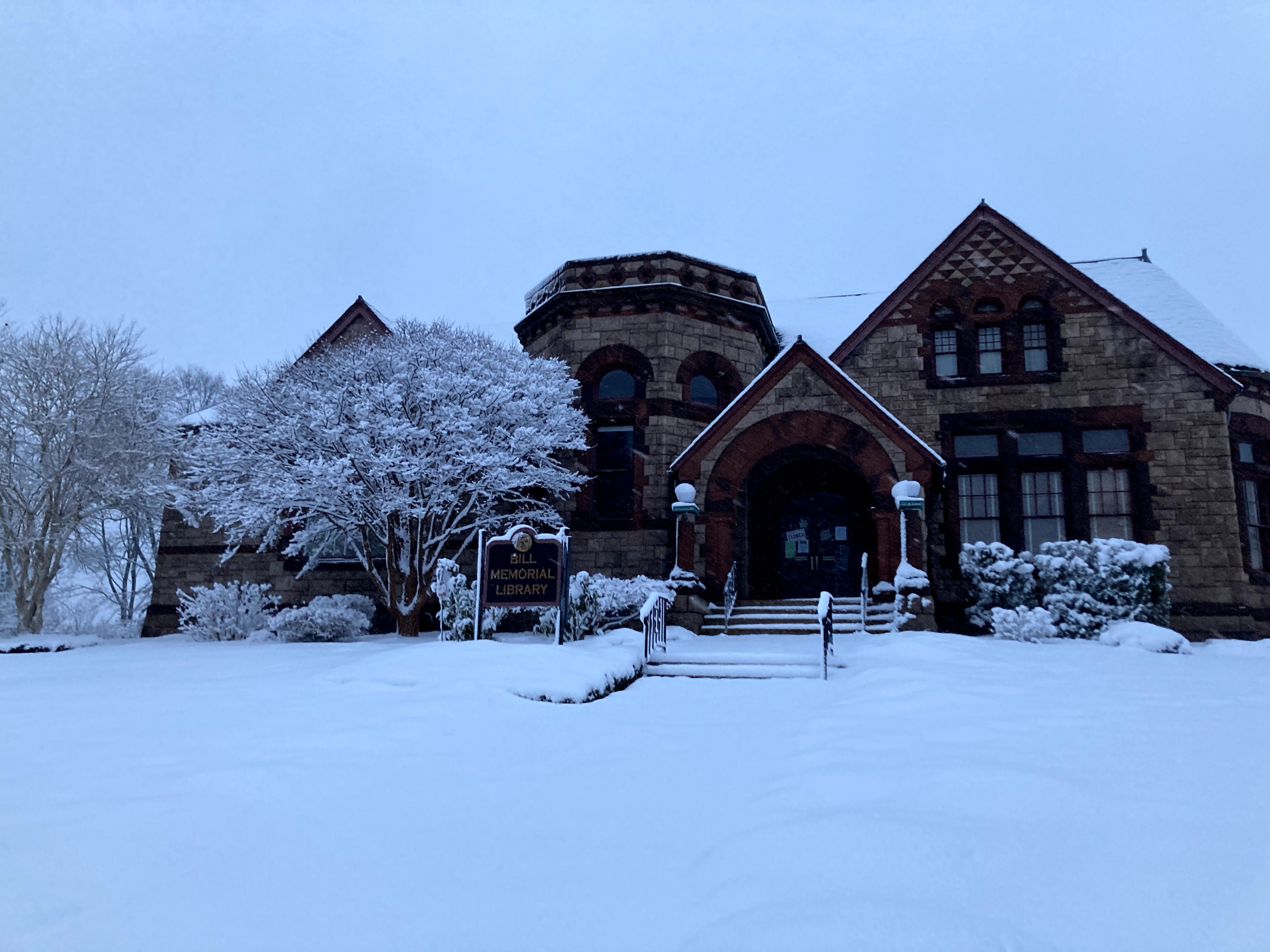 snowy library