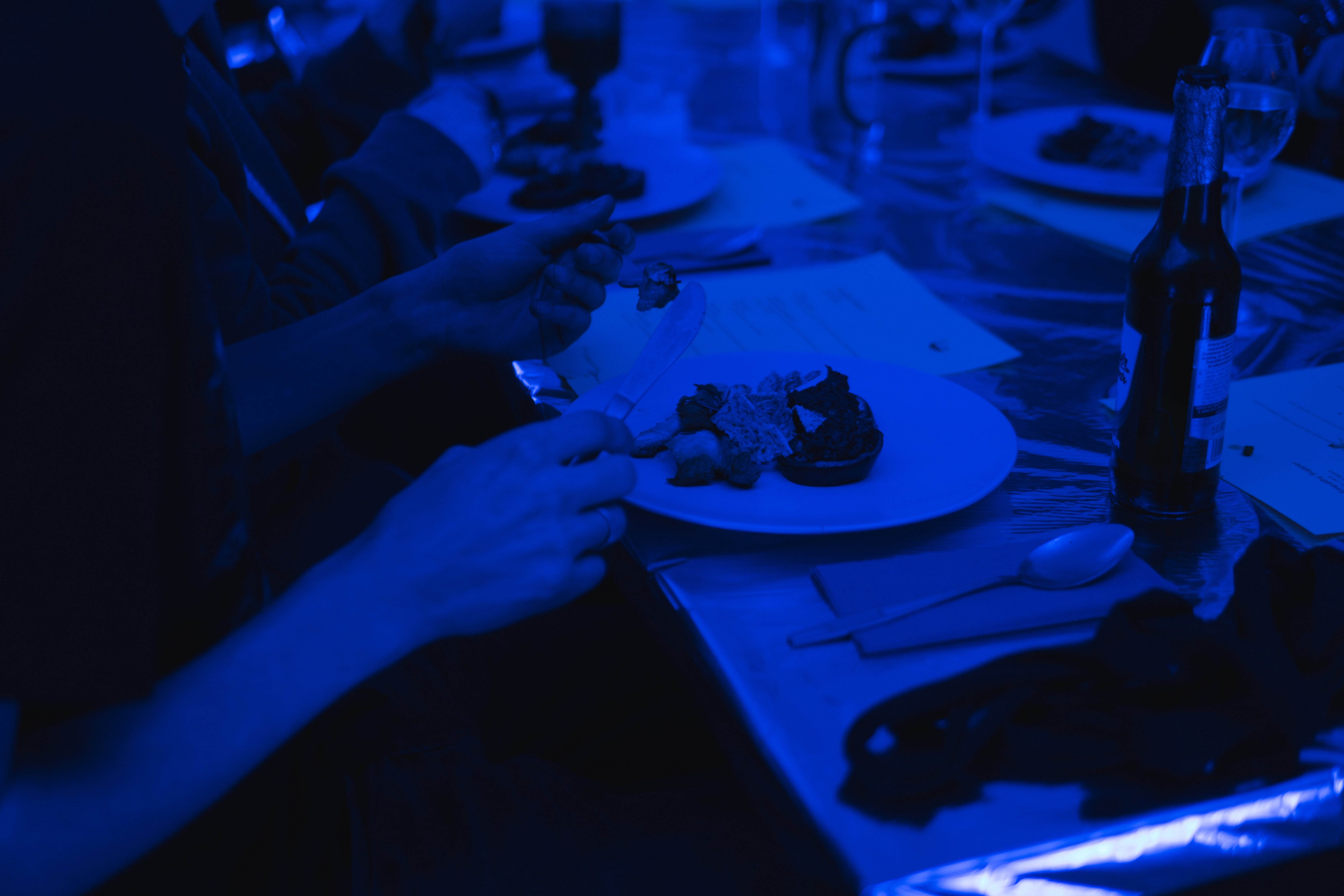 <p> Empaty Supper </p> Blue light is a high-energy light that blocks other colors.  
                    By serving food in blue light, all other colors are distorted, and only textures are left. This made it hard to make sense of the dish.
                    In the middel of the serving the lights were switched to white, and an axhilliated gasp rang from the audience!