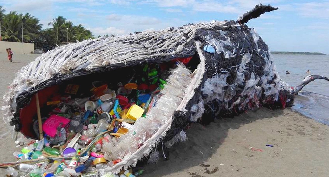 dead whale washed up on a beach with plastic fulling its mouth