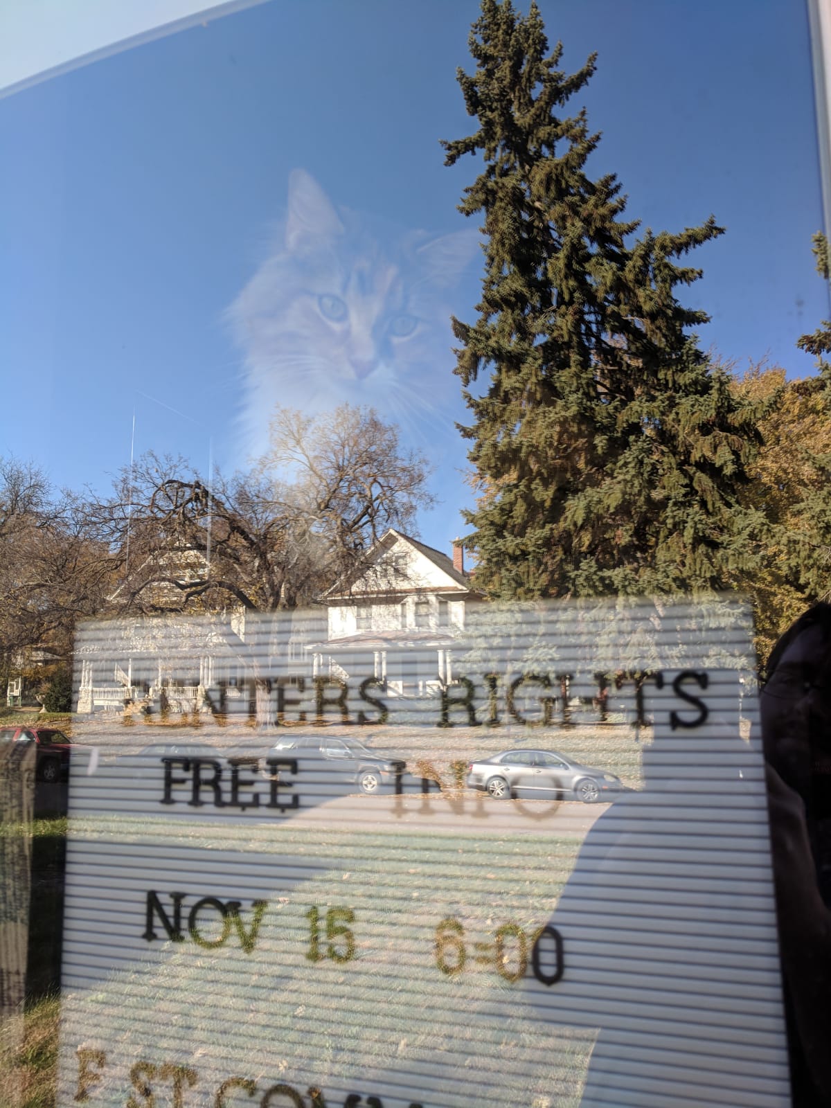 Tally staring thoughtfully through a window above a sign promising free info on Renters Rights at an event on November 15