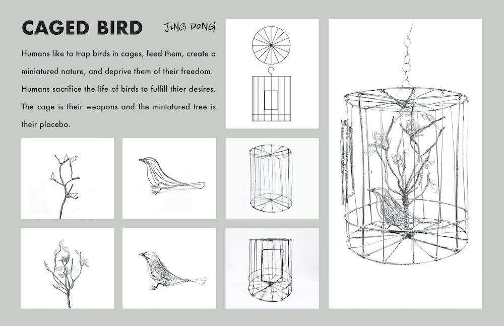 Space and Materiality: Caged Bird