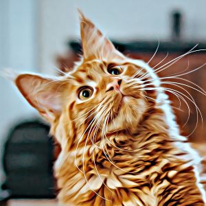 Thumbnail for Gerador de nomes de gatos