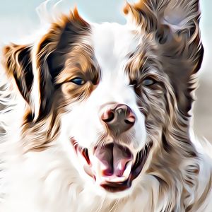 Thumbnail for Generator för hundnamn