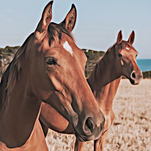 Thumbnail for Generator för hästnamn