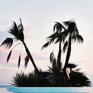 Thumbnail for Generador de nombres de islas