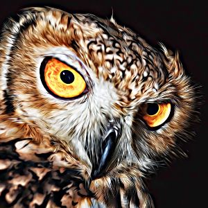 Thumbnail for Owl Name Generator