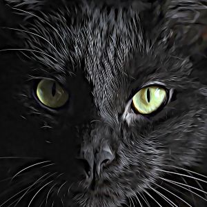 Thumbnail for Savaşçı Kedi Adı Oluşturucu