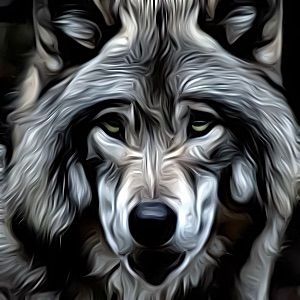 Wolf Name Generator | 1000s of random wolf names