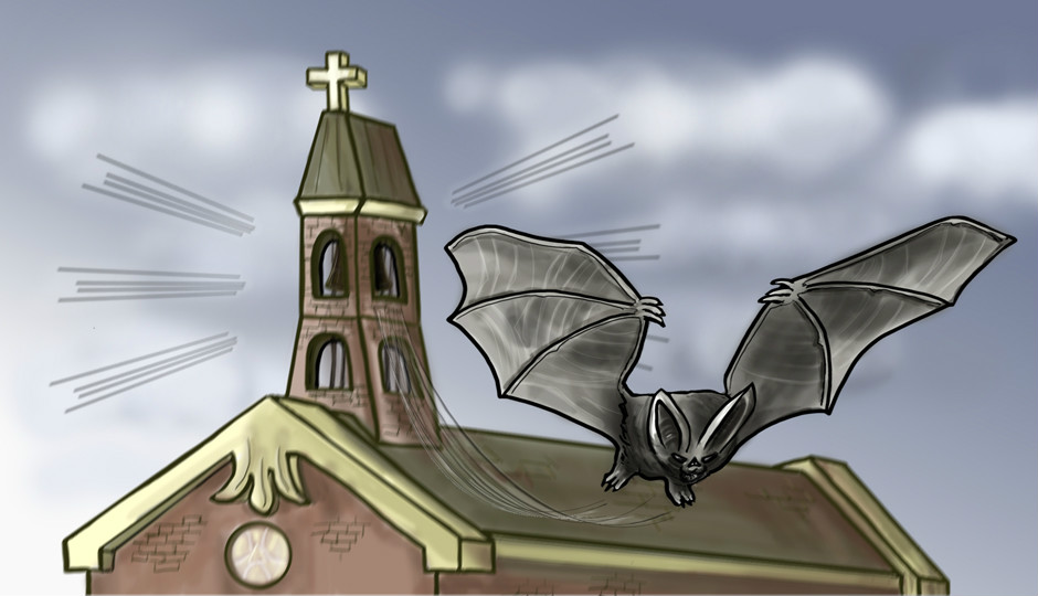 Image for Bat in the Belfry