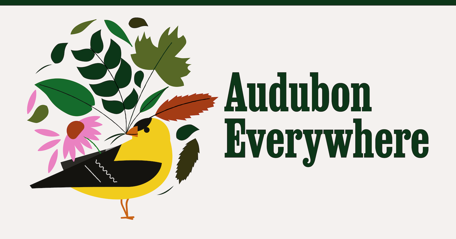 (c) Audubonconvention.org