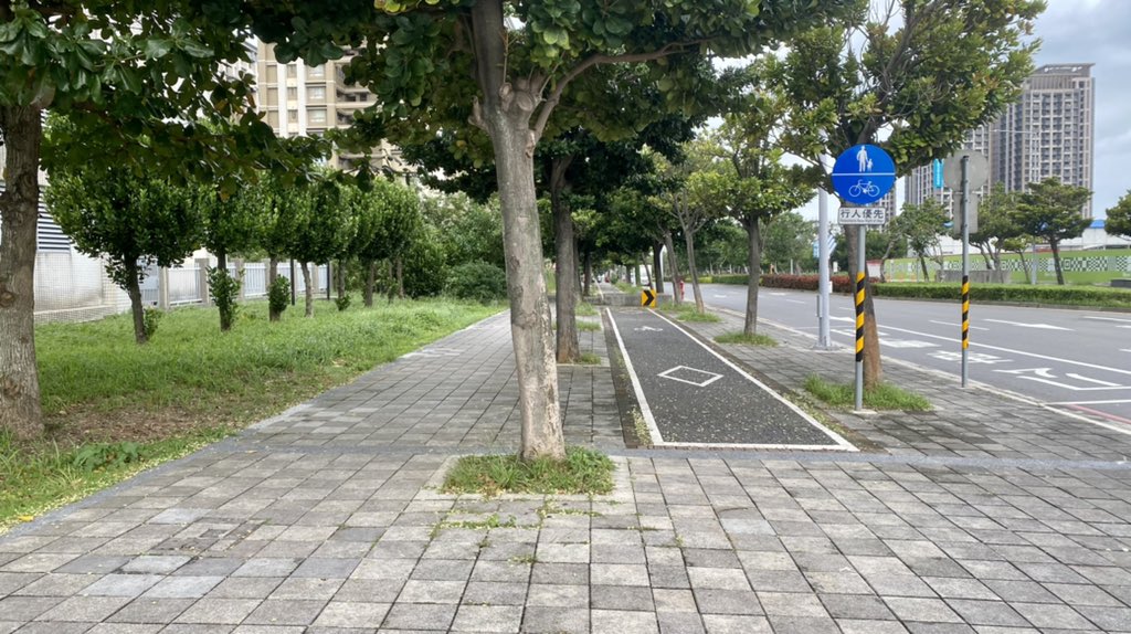 Brick sidewalk with raised paved bikelane and trees.