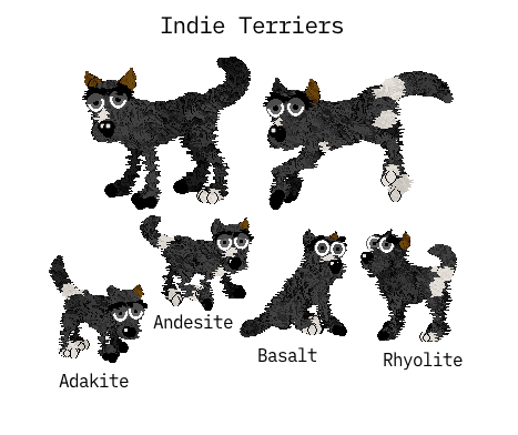 Indie terriers