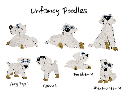 Unfancy poodles
